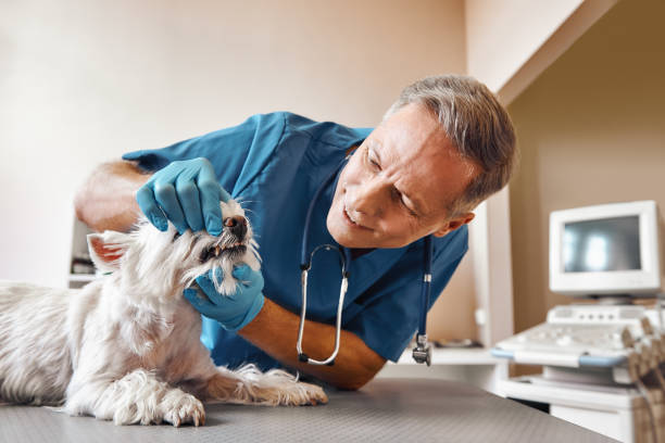 Best Same-Day Emergency Dental Services in Richland, MS